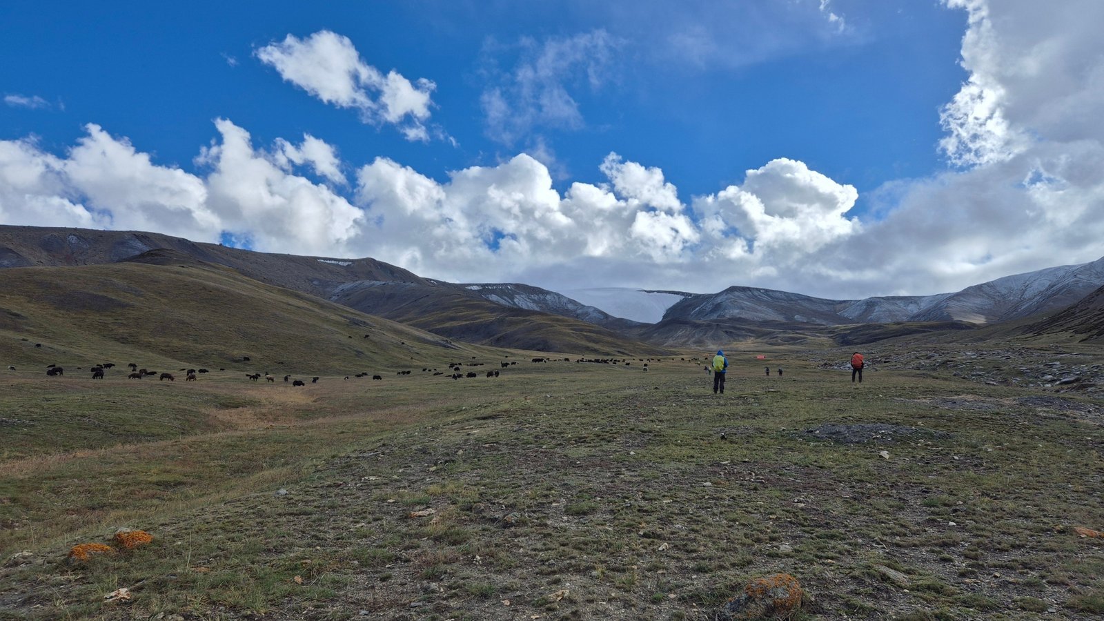 Dzo Jongo West Expedition expedition photograph from Kailasa Treks